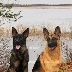 Meet your Posher, Jt